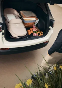 Babywanne für Kinderwagen 'Dragonfly Plus'