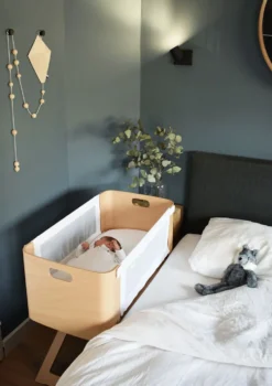 Beistellbett 'Bednest' inkl. Matratze 82 x 37 cm