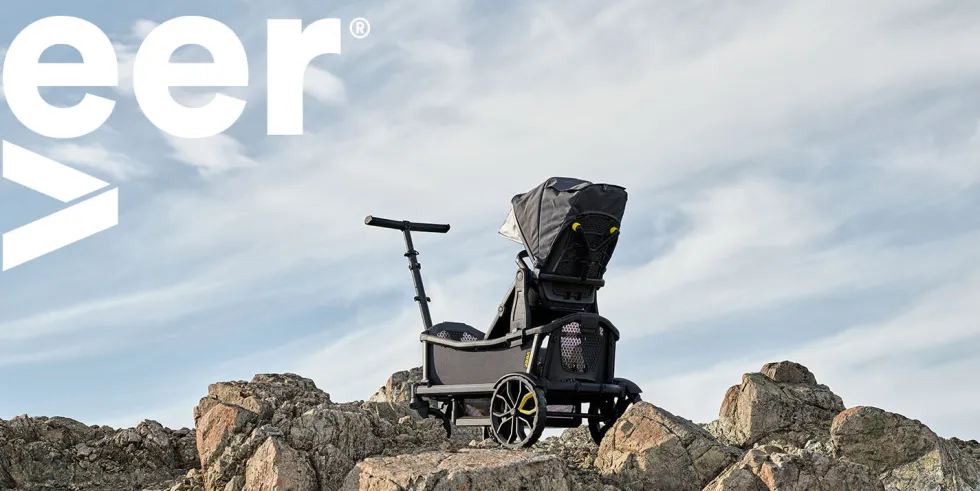 Cruiser Adapter für Switchback Sitz dunkelgrau / schwarz