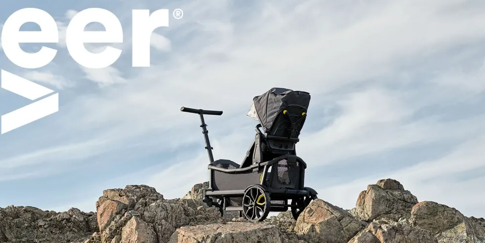 Cruiser Adapter für Switchback Sitz dunkelgrau / schwarz
