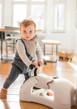 3-in-1 Babyroller 'My First' sand