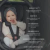 ISOFIX-Basisstation 'Beyond'