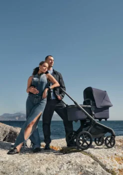 Kinderwagen-Set 'Fox 5 Renew'