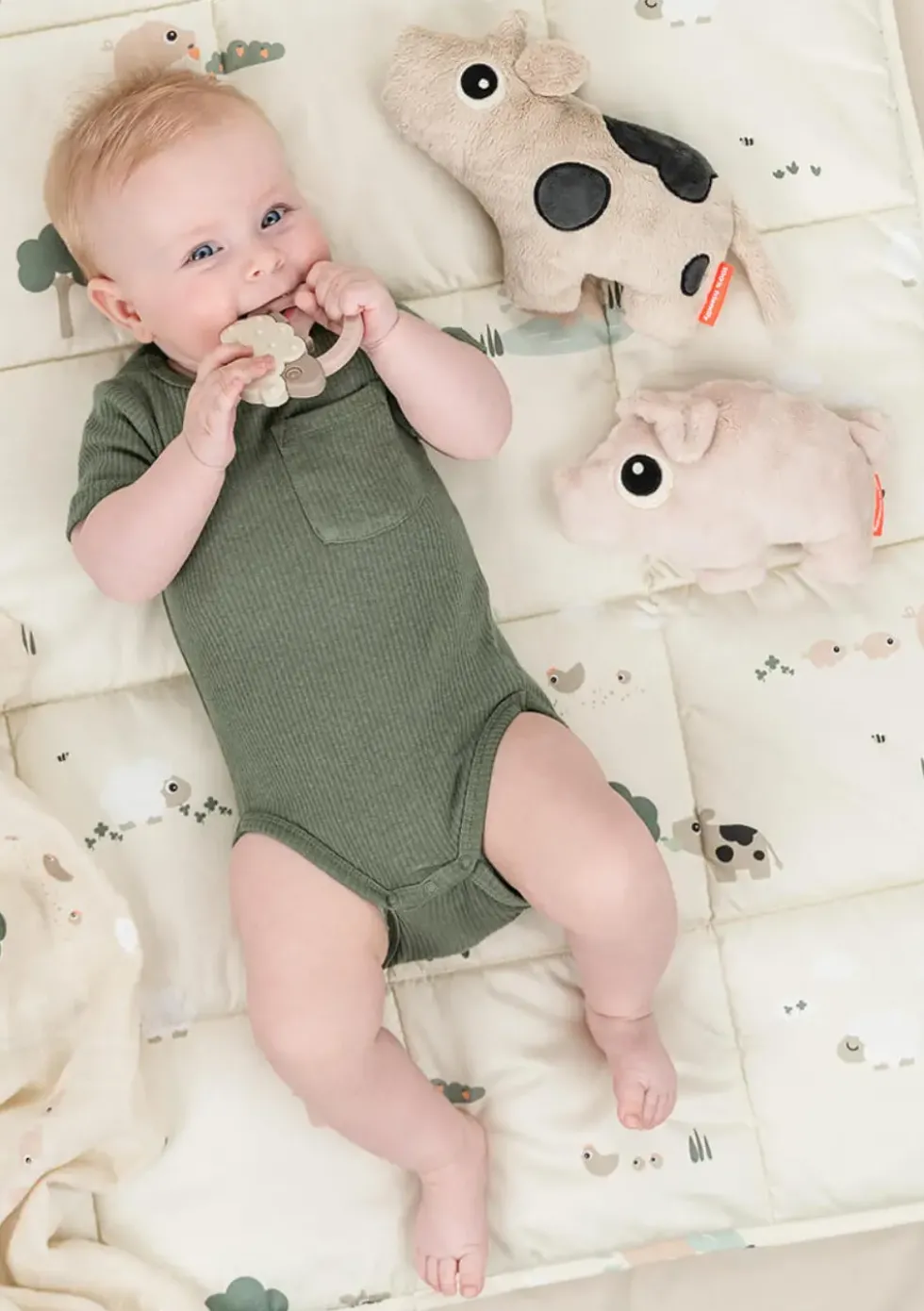 Kuscheltier 'Pigee' klein rosa