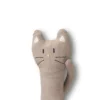 Rassel Katze 'Henry'