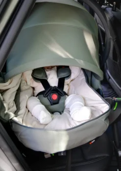 Wind & Weather Cover für Babyschale 'Go Beyond' Meadow Green